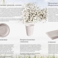 Производство биоразлагаемой одноразовой посуды из кукурузного крахмала